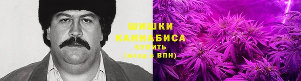 сатива Горнозаводск