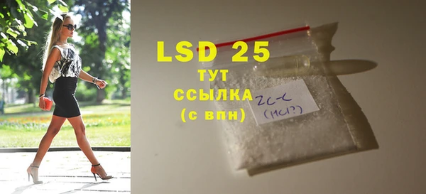 ГАЛЛЮЦИНОГЕННЫЕ ГРИБЫ Горняк