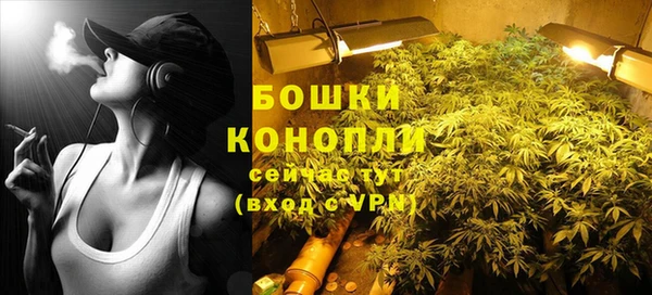 сатива Горнозаводск