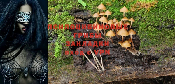 mix Вязьма