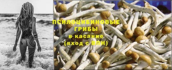 сатива Горнозаводск