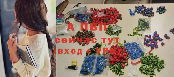 сатива Горнозаводск