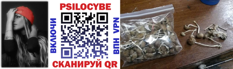 Псилоцибиновые грибы прущие грибы  купить наркотики цена  Могоча 